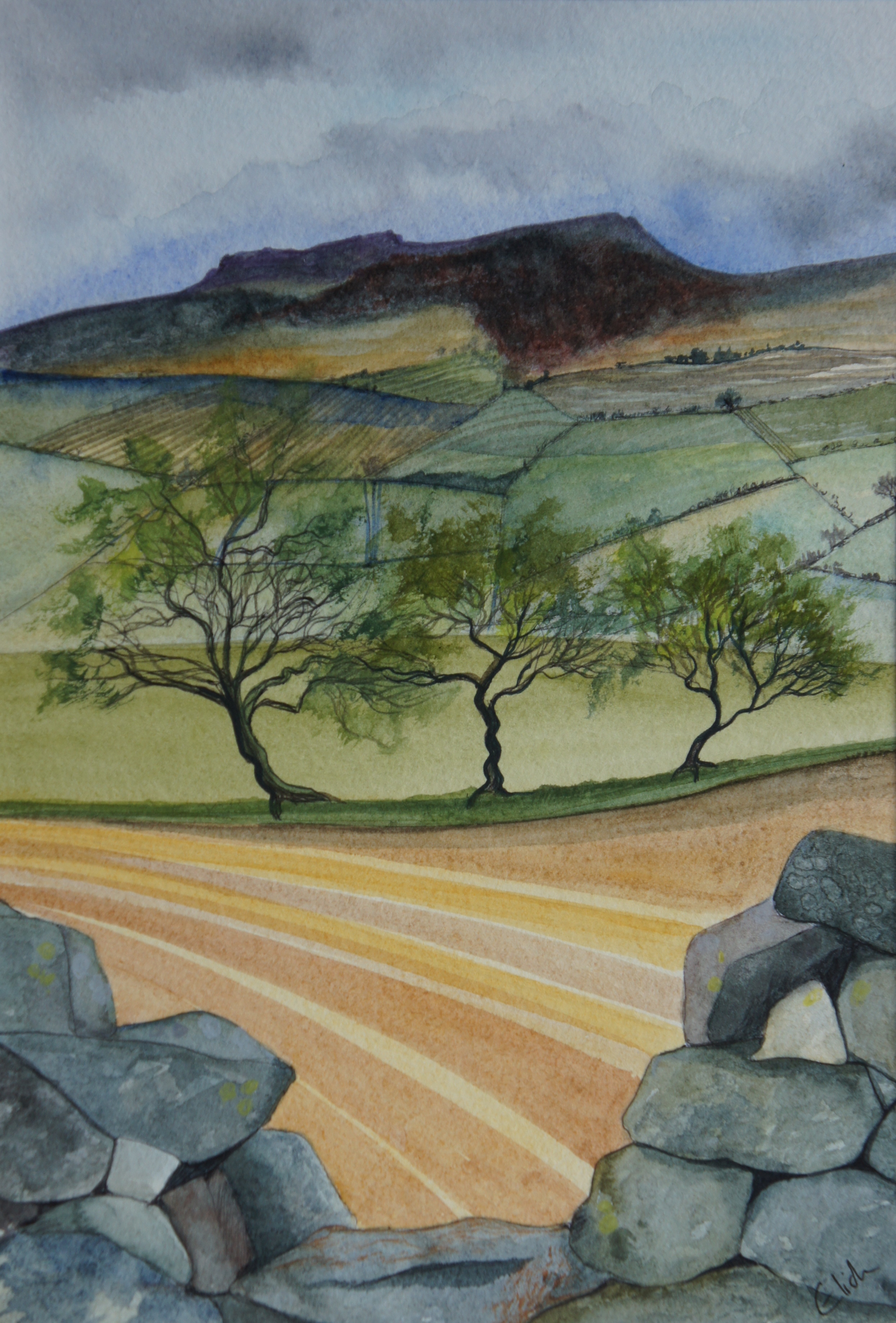 Hedgerow