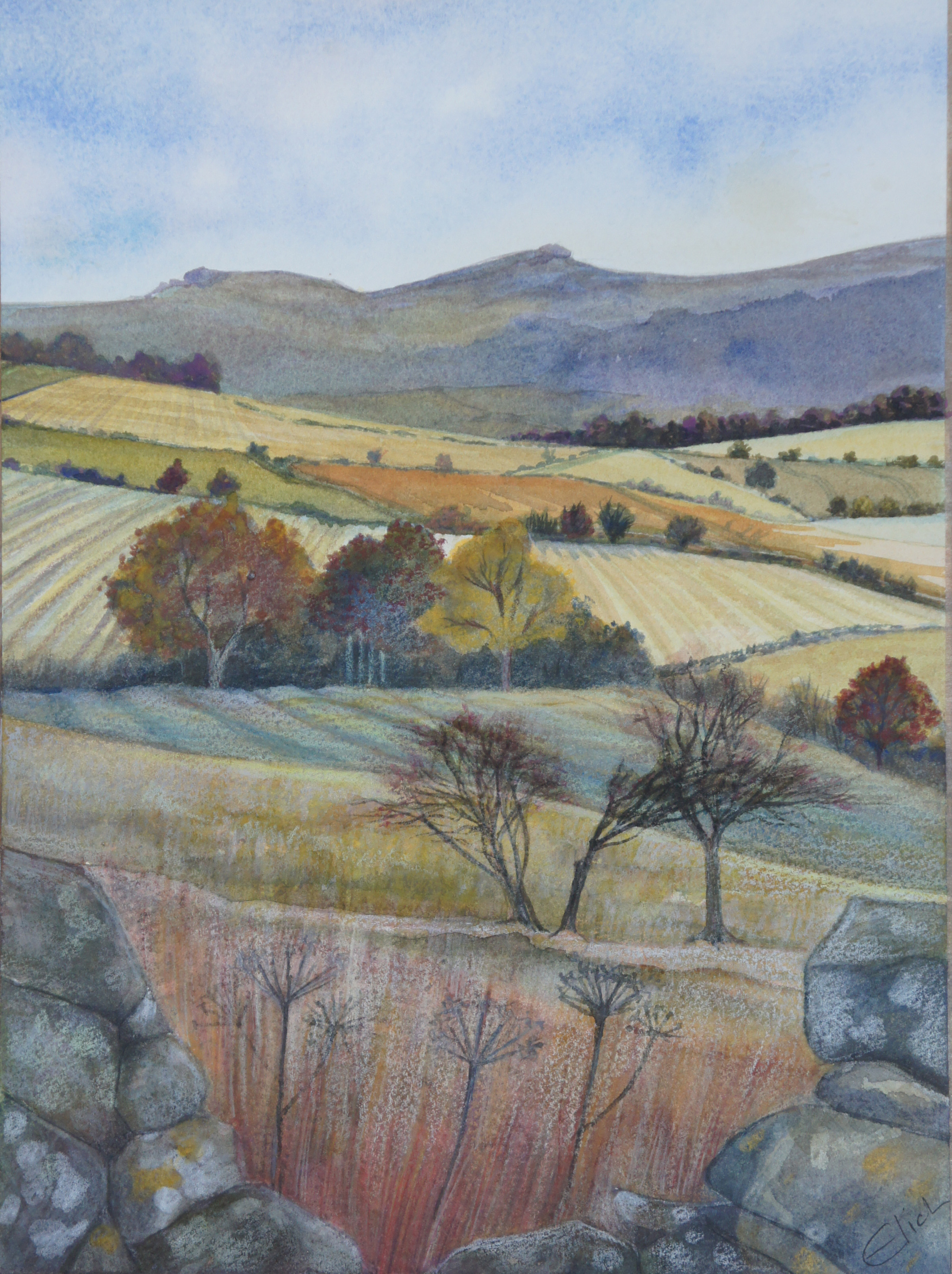 Nearing Winter