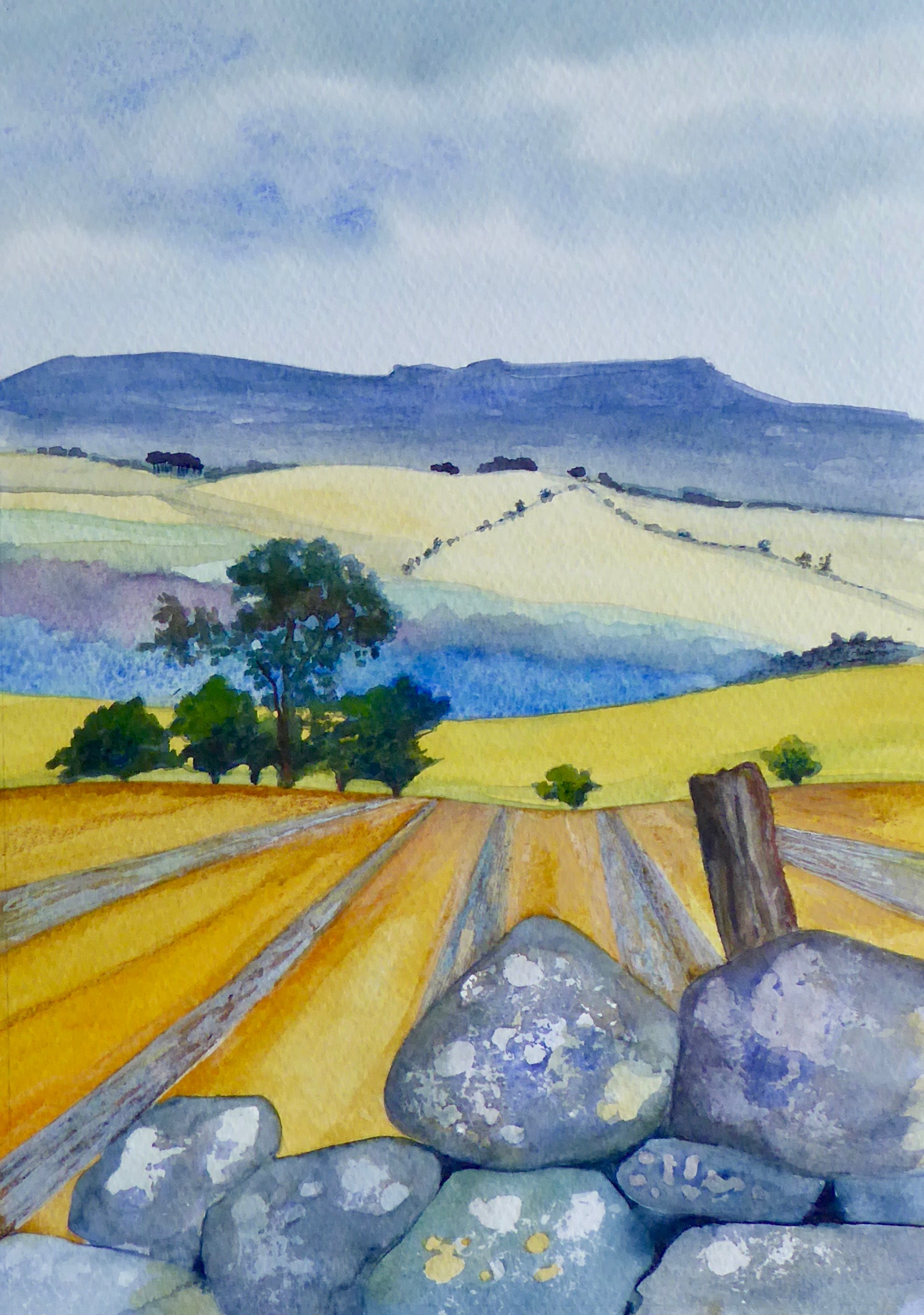Simonside from Mountain