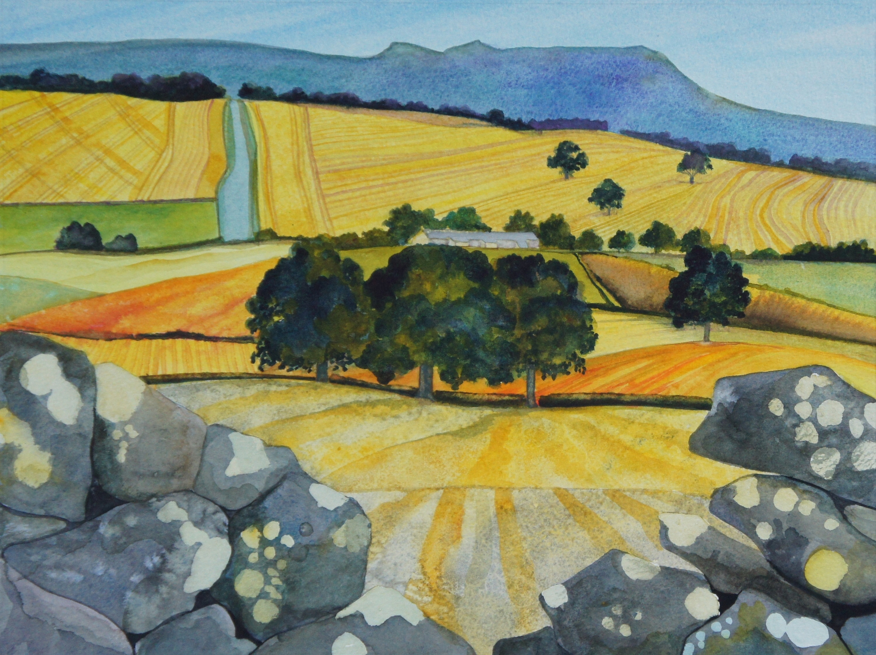 Road from Lorbottle to Coquetdale