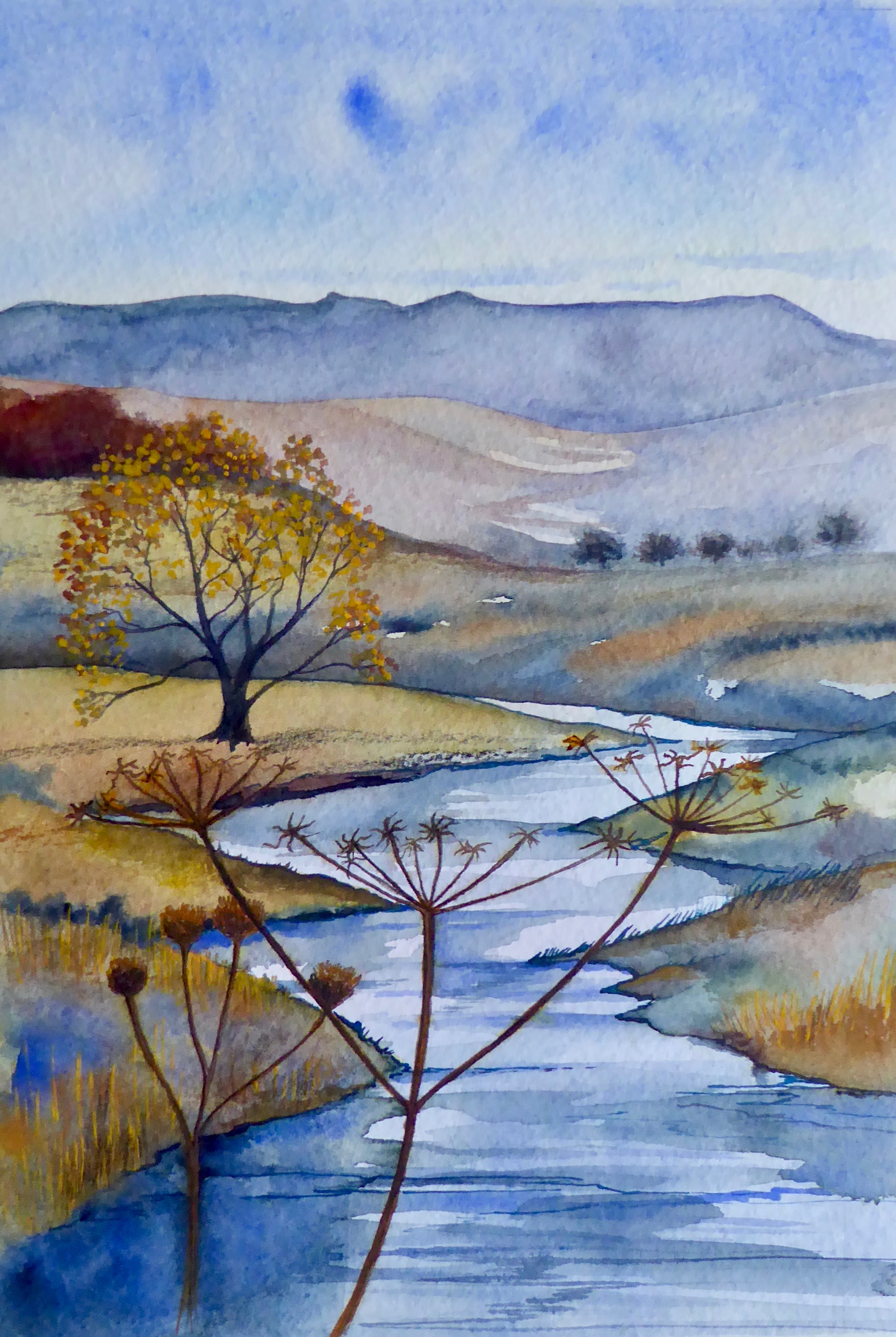 Wreigh Burn