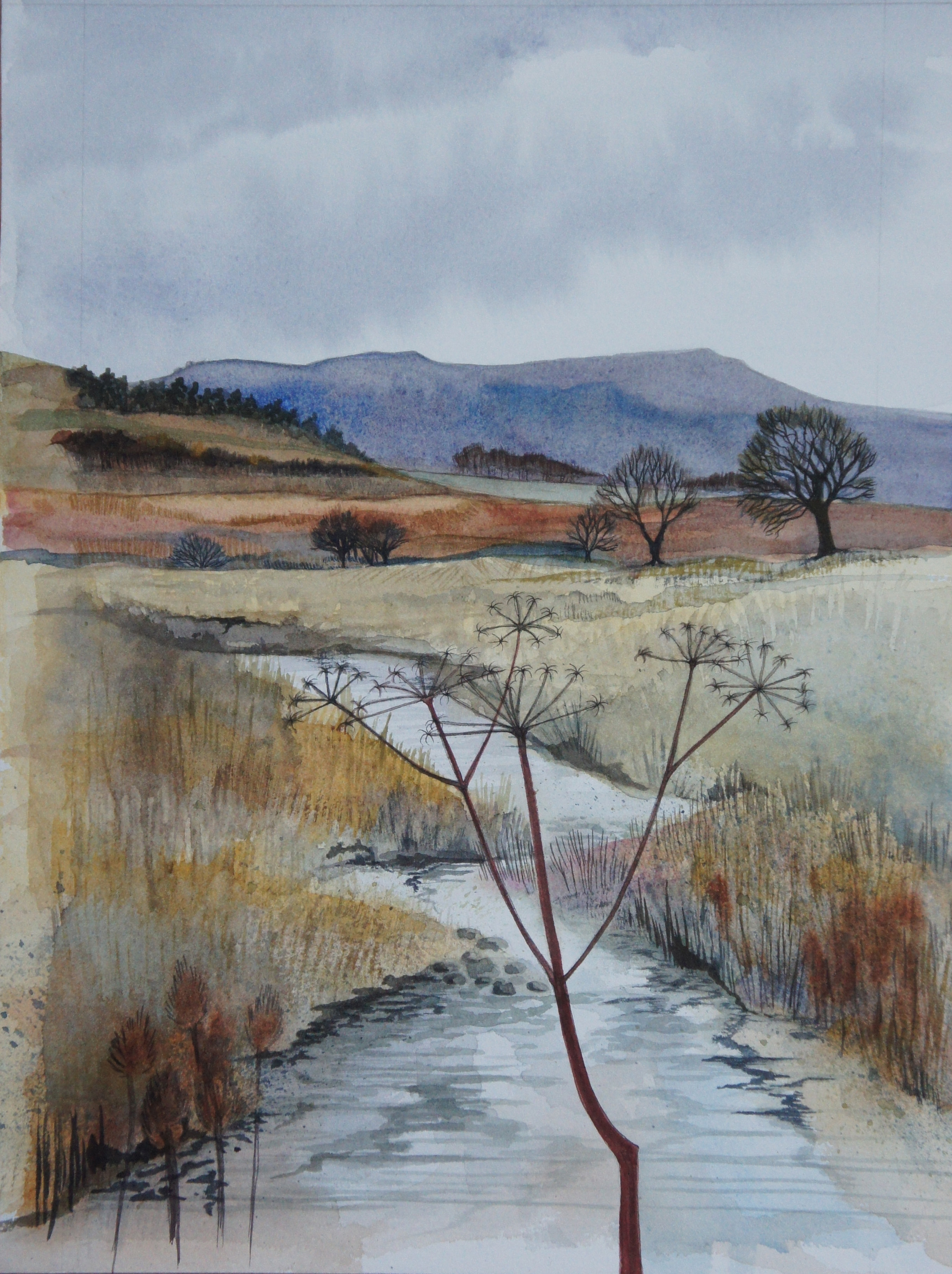 Northumberland burn winter