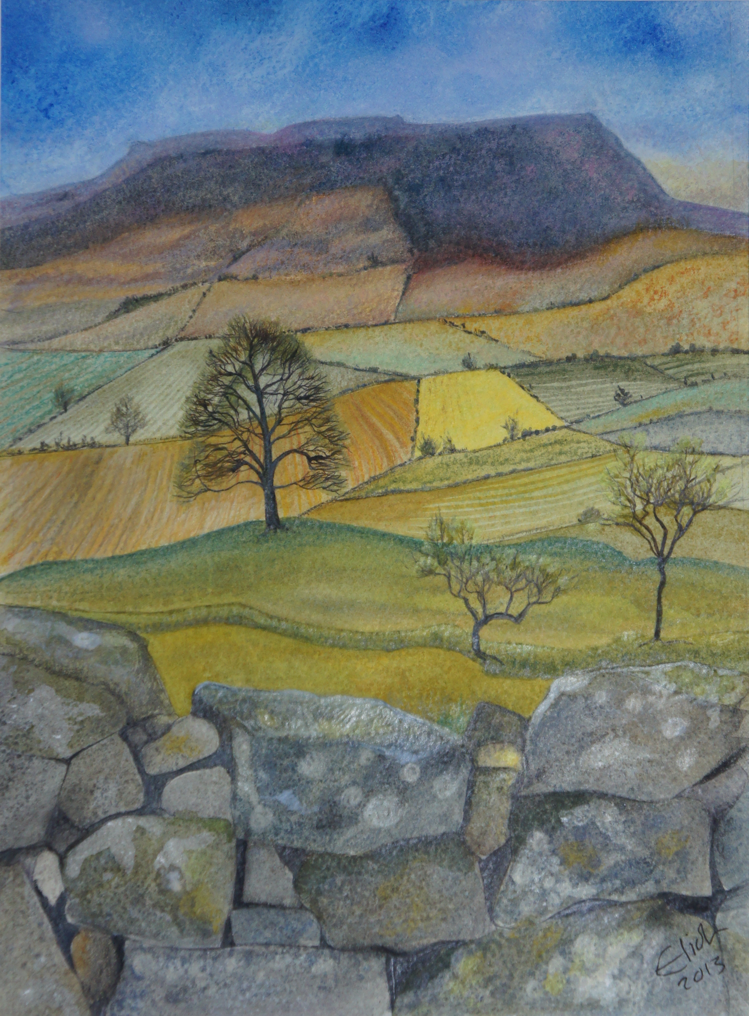 Yellow Field