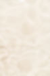 haute-stock-photography-subscription-creamy-peach-final-25.jpg