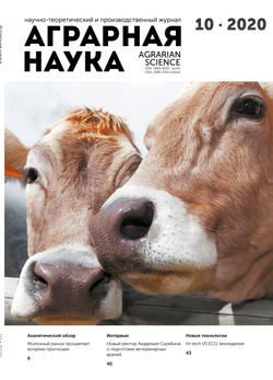 АН_10_2020_обложка