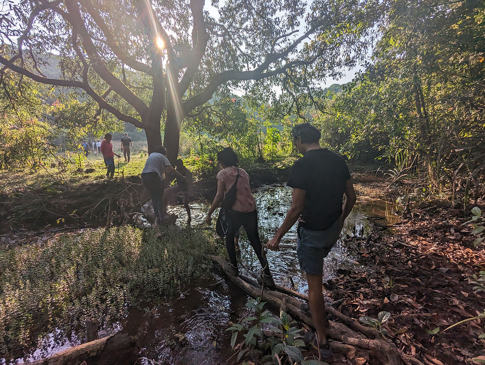 Website walking2.jpg