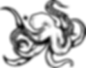 Octopus.png
