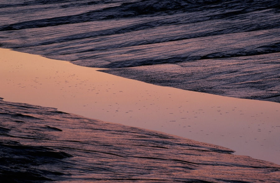 Low Tide