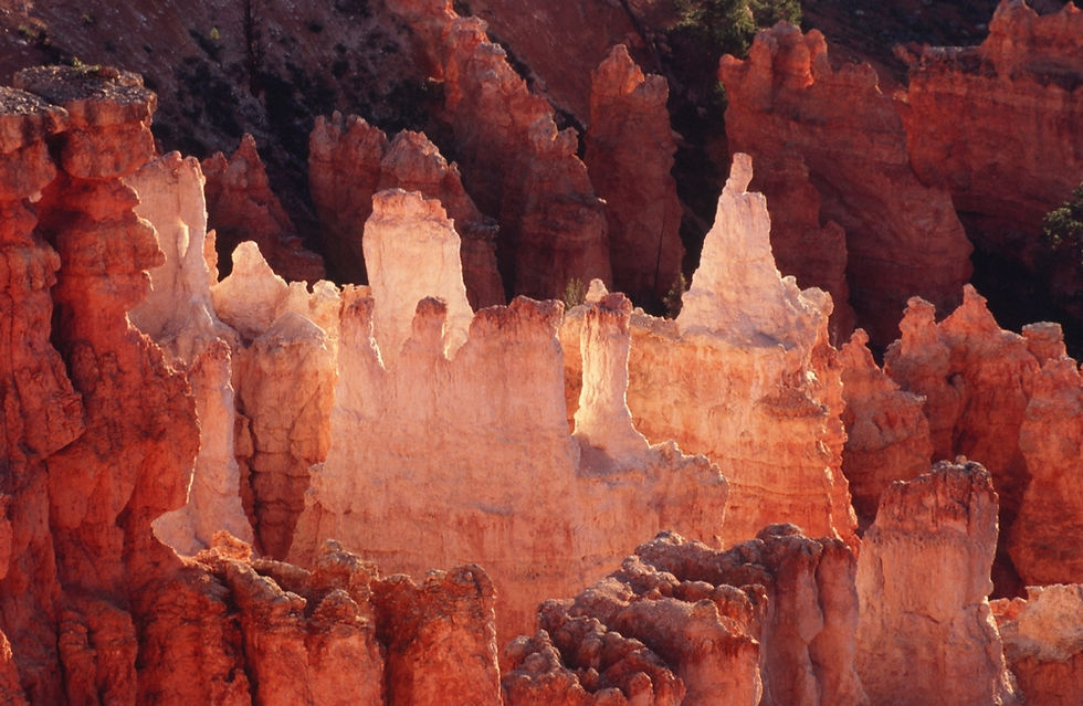 Bryce Towers