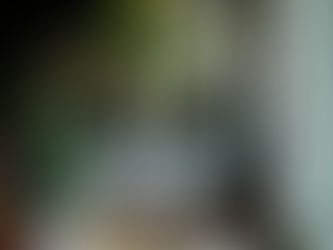 UN GIARDINO IN CASA - ARREDARE CON LE PALME