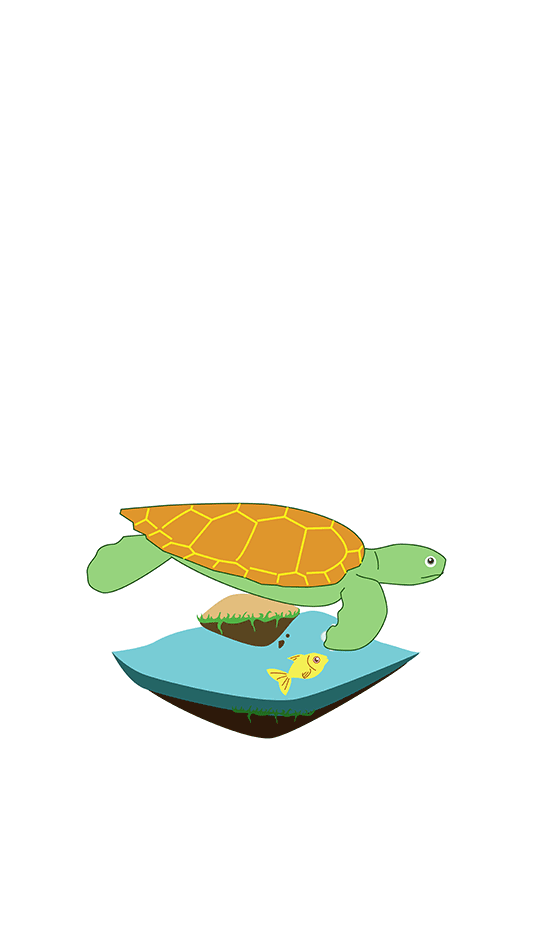 Sea Turtle