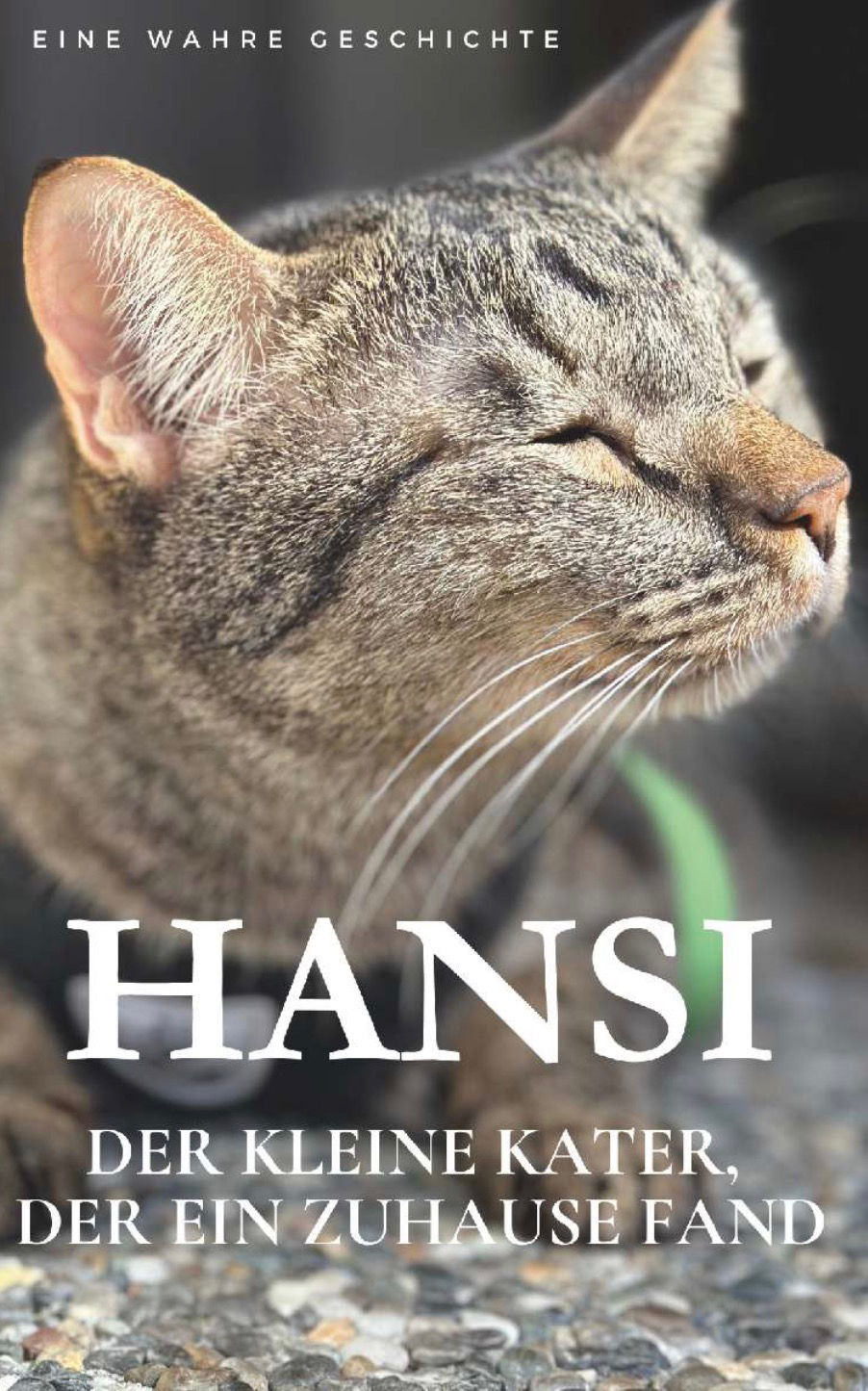 Hansi. Der kleine Kater, der ein Zuhause fand. | Thomas Fehr | gebrauchtes Buch