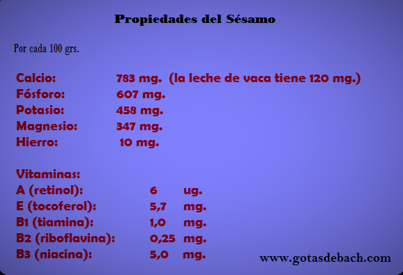 Sesamo
