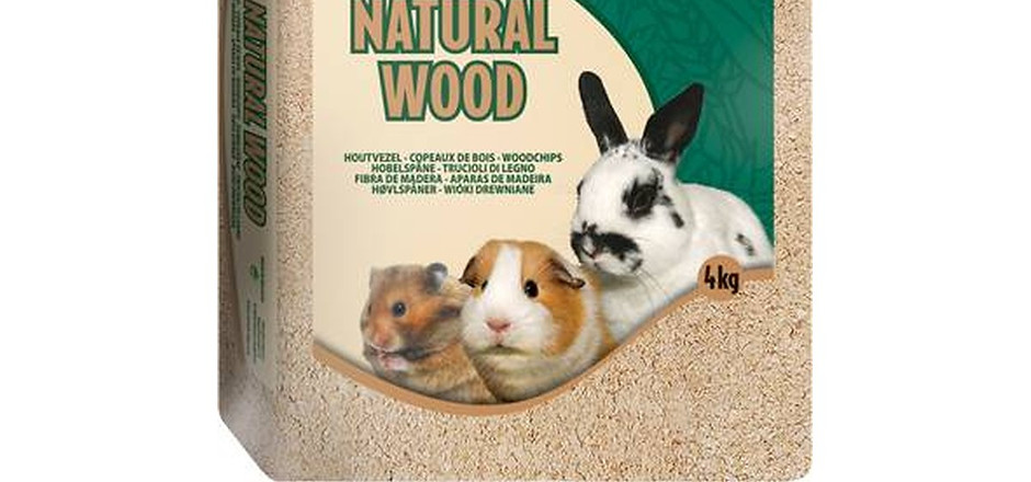 170245242_923062474902930_28800533492741