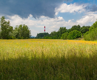 Auenlandschaft Donaudorf