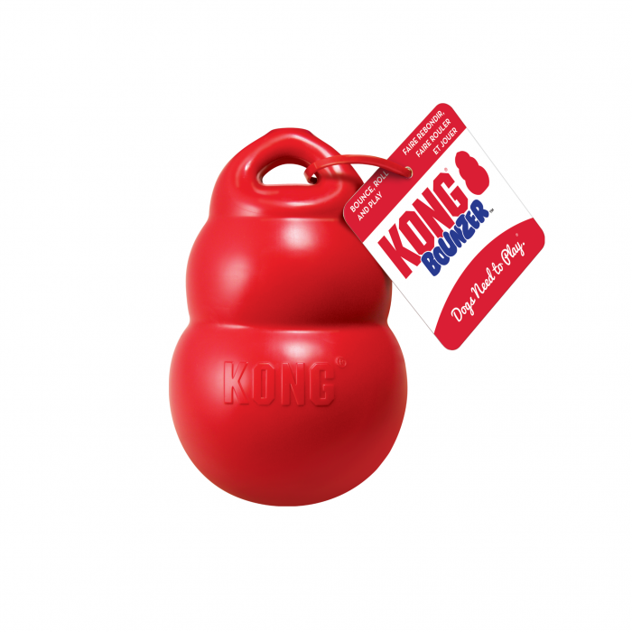 Thumbnail: Kong Bounzer