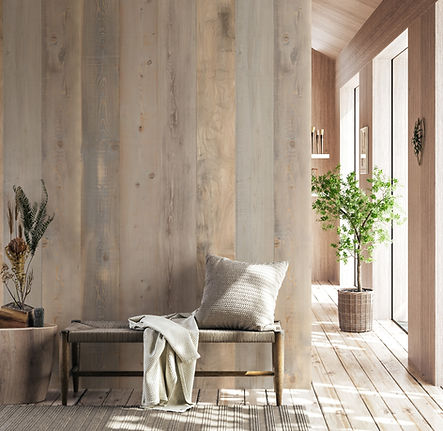 Zest-norse-room-DC43D39P_Square (1).jpg