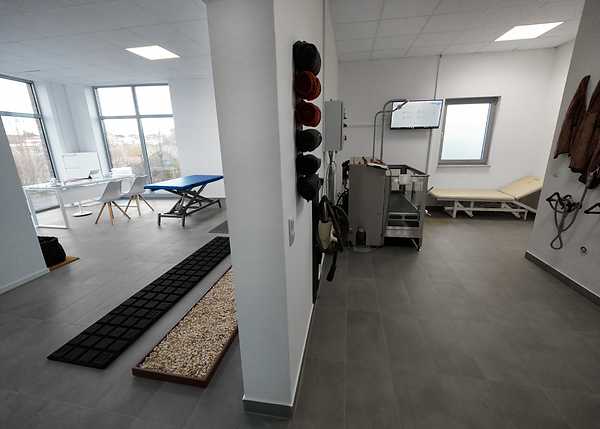 Hundephysiotherapie Wismar