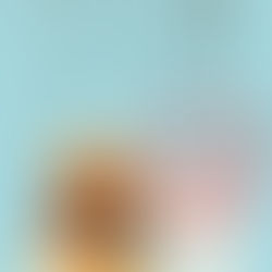 お知らせと完売