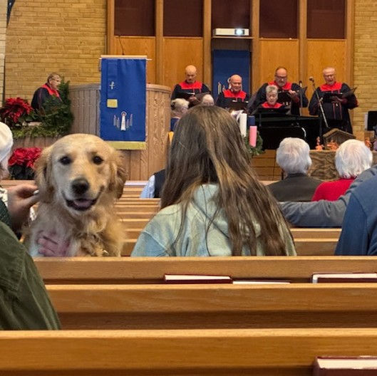 “We are MARSHALL” Sunday Worship Service: IN PERSON today and on YOUTUBE