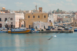 _DSC2530mod
