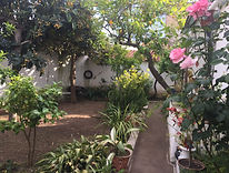 Casa Dª Ana em Reguengos de Monsaraz