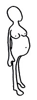 Pregnancy.jpg