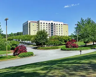 Hilton Hotel Pace.webp