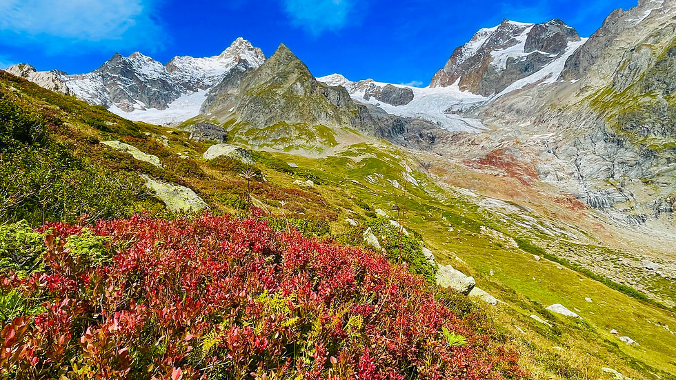 Thumbnail: 2025 Tour du Mont Blanc (TMB) Trekking 
- October Special Holiday Tour