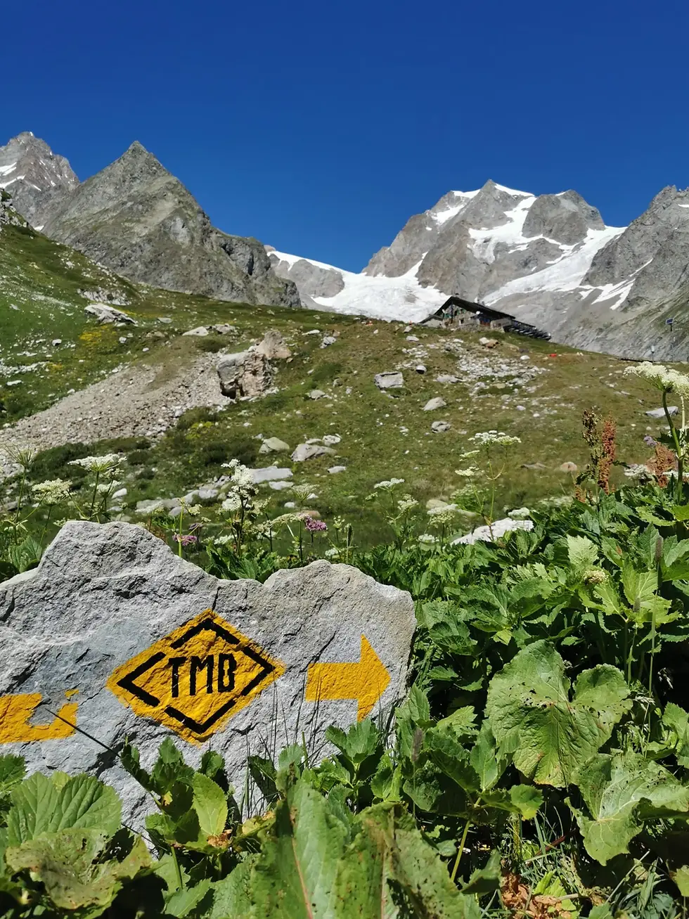 Thumbnail: 2026 Tour du Mont Blanc (TMB) Trekking - Mountain Huts + Hotels Highlight Tour