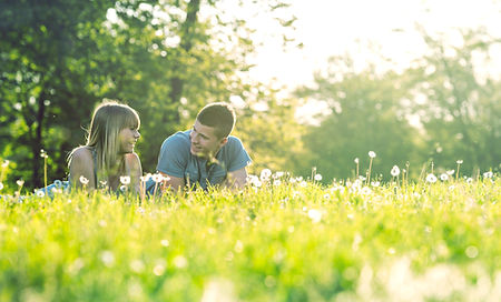 Situé dans l'herbe