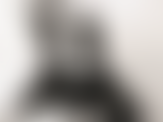 ¿Quién delató a Ana Frank?