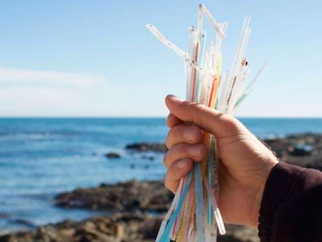 Se estima que para el año 2050 haya mas popotes que peces en el mar