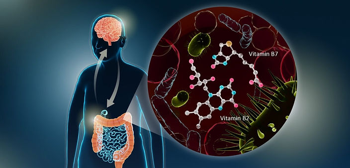 treating-the-gut-brain-1536x864.jpg