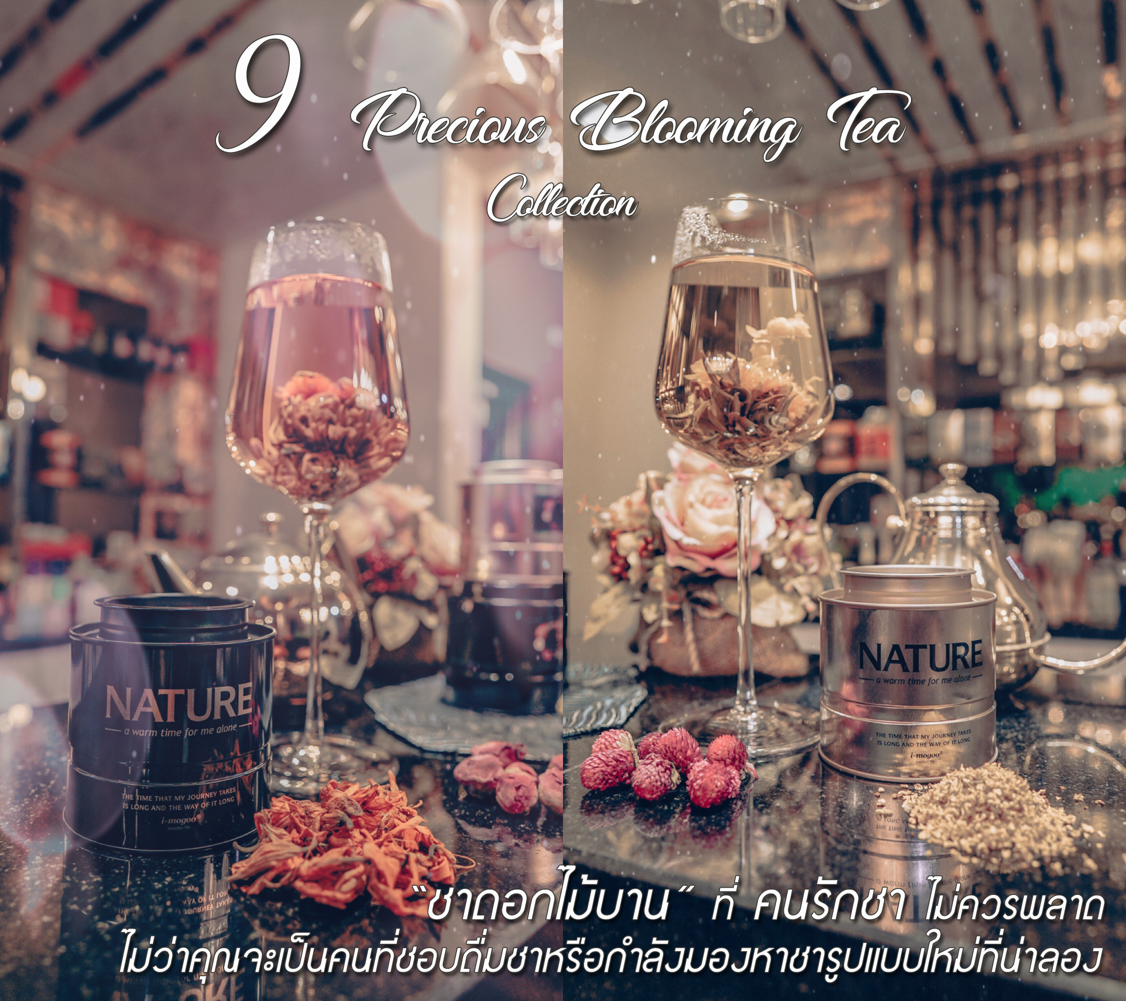 9 Precious Blooming Tea Collection