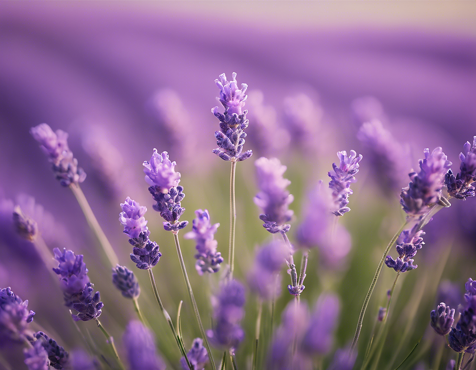 Mindful Healing Techniques for Managing Anxiety