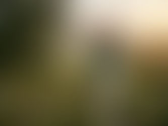 The Liminal Space – Unfolding or Unraveling?