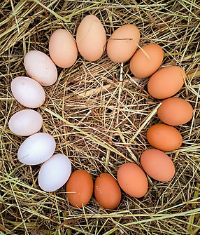 Schermata 2024-09-13 alle 17.45.46.png