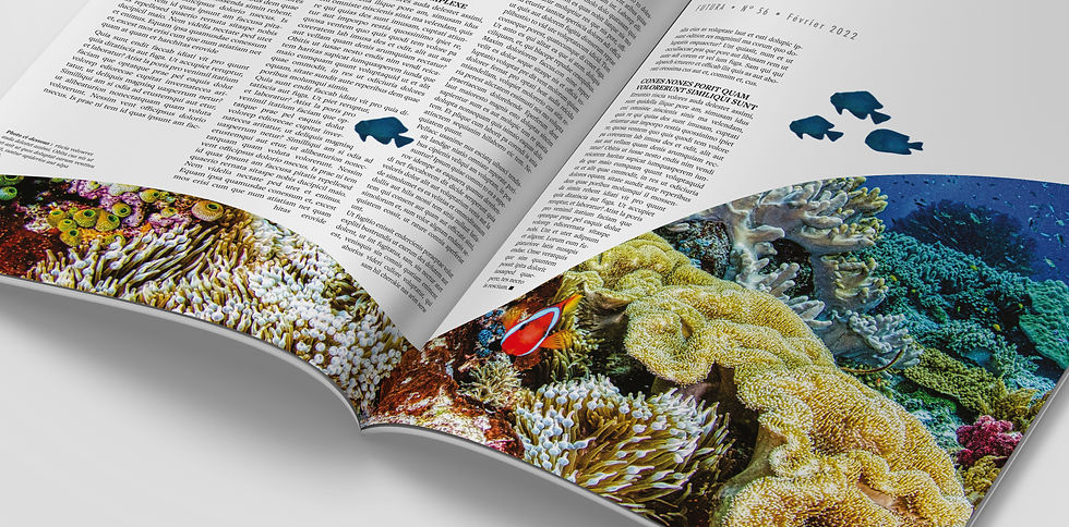 Magazine _ Futura
