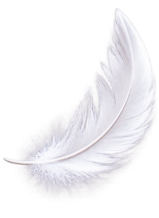 usp-feder_edited.png