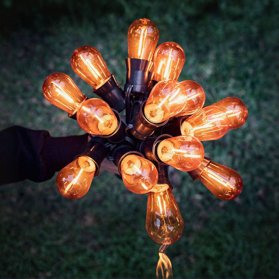 Miniatura: Guirnaldas Vintage filamento LED 1w vidrio 10 mts 10 Luces
