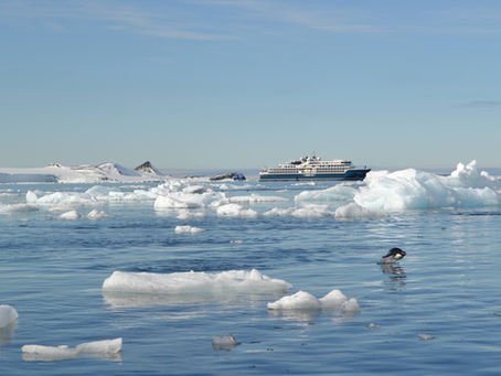 A penguin swimming in Antarctica with an expedition cruise ship in background.