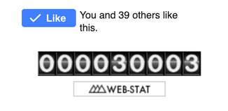 The YCL lab website has reached 30,000 visits!
