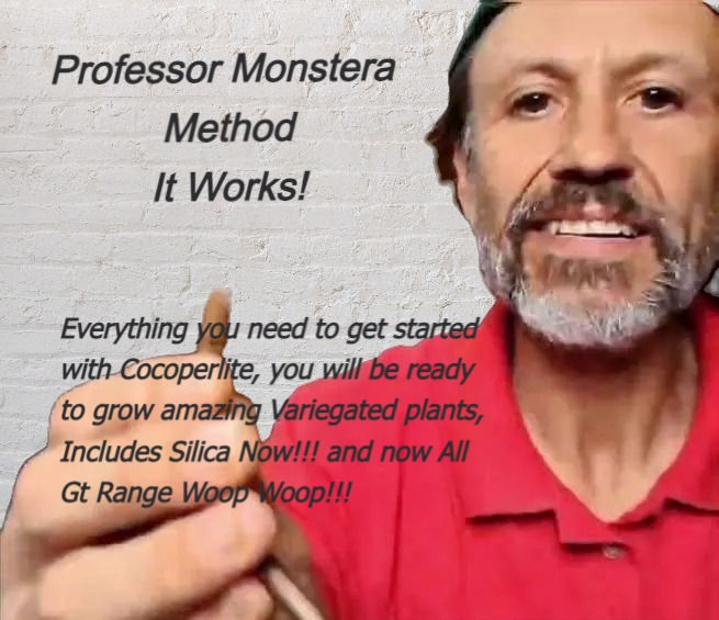 Here's How I Whip Up My Professor Monstera Feed 🌱