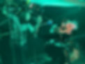 IMG_8678.jpeg