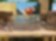 IMG_0344.jpeg