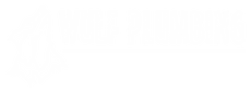 Full Logo white.png