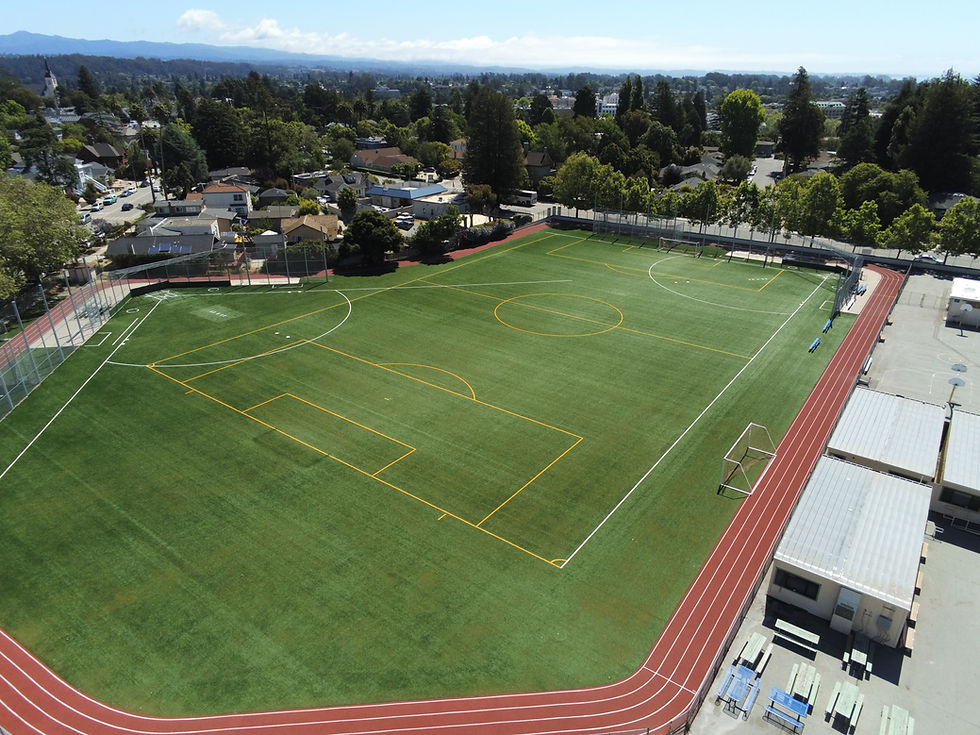 Thank you for voting for our New Field!