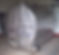 DSCN08932.jpg