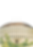zhaw.png